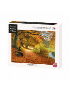 Chemin boisé en automne -...