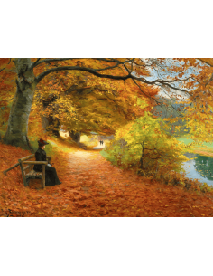 Chemin boisé en automne -... 2