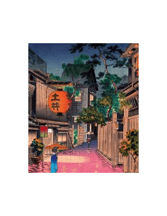 Soirée à Ushigome - Puzzle... 2