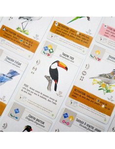 Wingspan : Extension -... 2