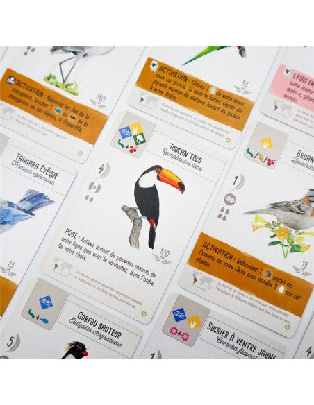 Wingspan : Extension - Amériques