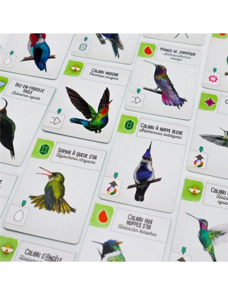 Wingspan : Extension - Amériques