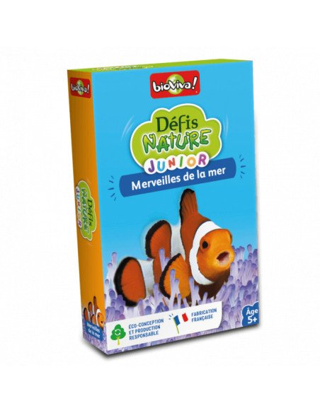 Bouteille à la Mer - Jeu de lettres