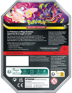 Image de la Pokébox Mega Melodelfe de Face 2