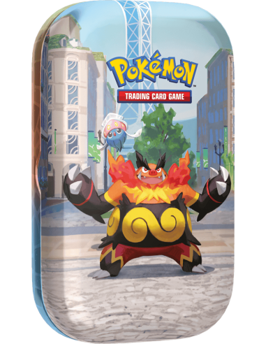 Visuel de la mini tin roitiflam