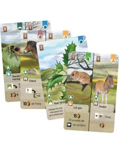 Forêt Mixte Dartmoor : Exmoor (Ext) - Extension de jeu de cartes 2