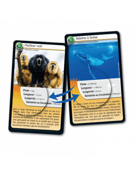 Défis Nature : Records des Animaux