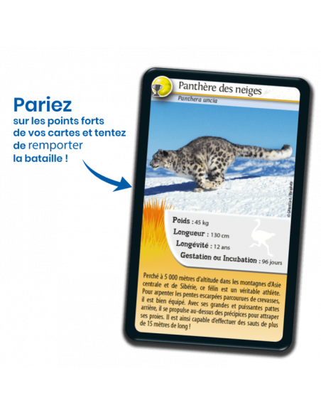 Défis Nature : Records des Animaux