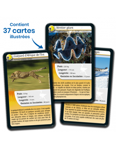 Défis Nature : Records des Animaux