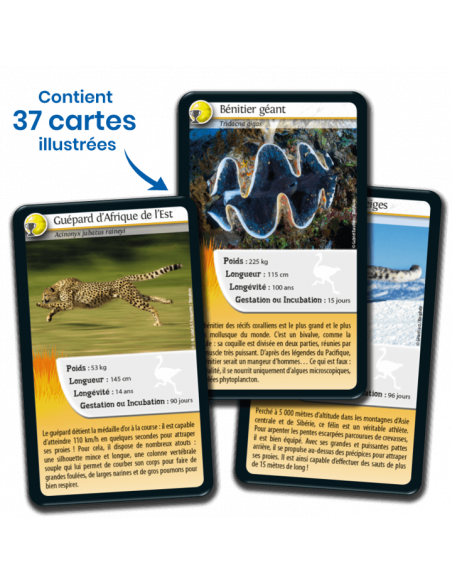 Défis Nature : Records des Animaux