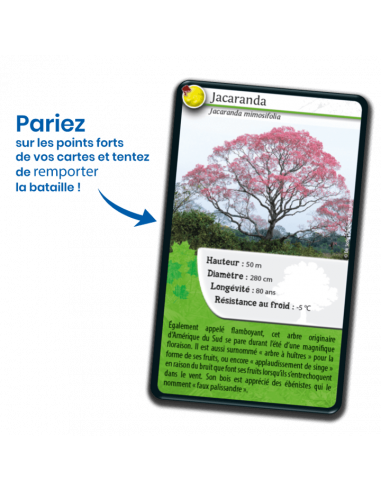 Défis Nature : Arbres du Monde Défis Nature : Arbres du Monde
