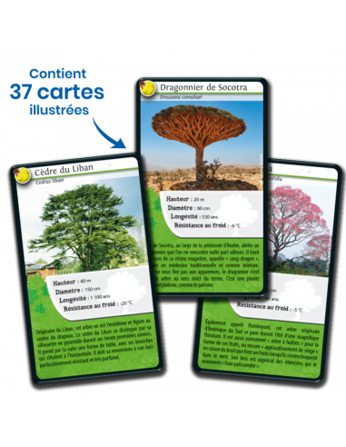 Défis Nature : Arbres du Monde Défis Nature : Arbres du Monde
