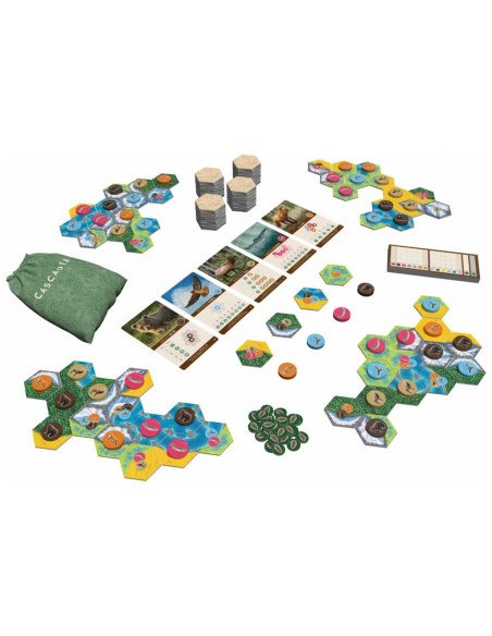 Cascadia - Jeux de société - Jeux Initiés - matériel