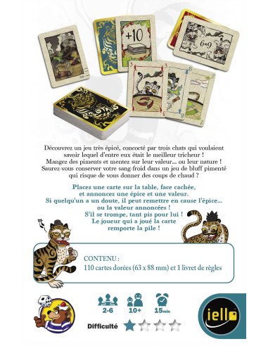 Spicy - Jeux de société - Jeux Familiaux - dos de la boîte