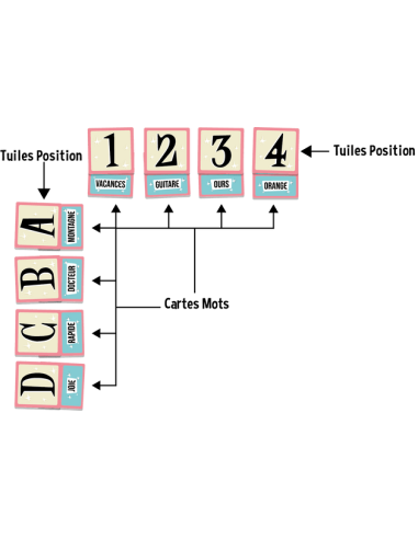 Mot Malin - Jeu d'association - Mise en Place