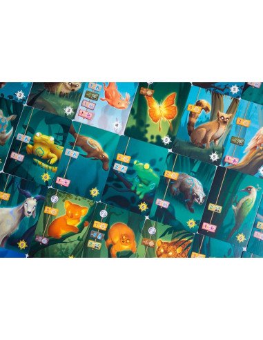 Living Forest - Jeux de société - Jeux Initiés - contenu - matériel - cartes