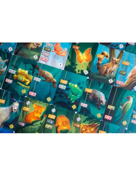 Living Forest - Jeux de société - Jeux Initiés - contenu - matériel - cartes