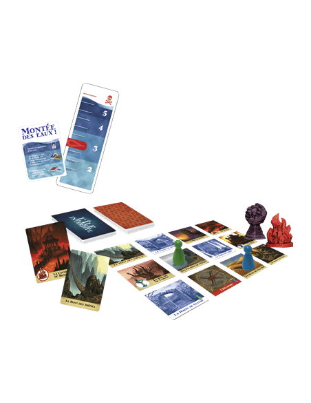 L'île Interdite - Jeux de société - Jeux Coopératif - Jeux Familiaux - contenu - matériel - pions - cartes