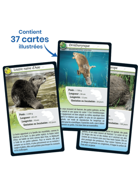 Défis Nature : Animaux d'eau douce - Cartes à collectionner - contenu - matériel - visuel