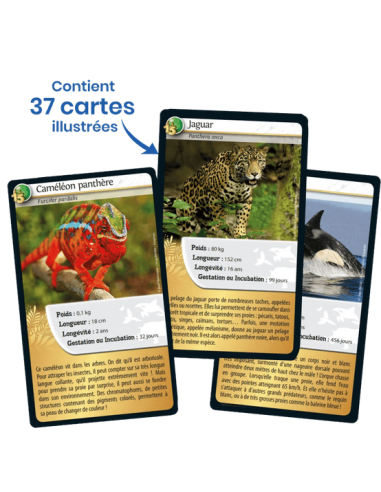 Défis Nature : 15e Anniversaire - Cartes à collectionner - contenu - matériel - visuel Défis Nature : 15e Anniversaire - Cartes à collectionner - contenu - matériel - visuel