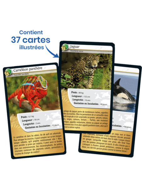 Défis Nature : 15e Anniversaire - Cartes à collectionner - contenu - matériel - visuel Défis Nature : 15e Anniversaire - Cartes à collectionner - contenu - matériel - visuel