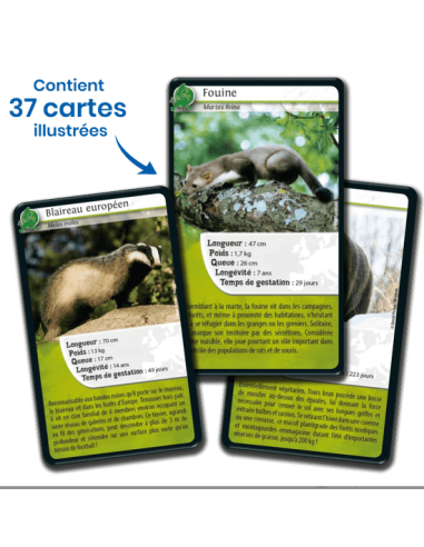 Défis Nature : Europe - Cartes à collectionner - contenu - matériel - visuel