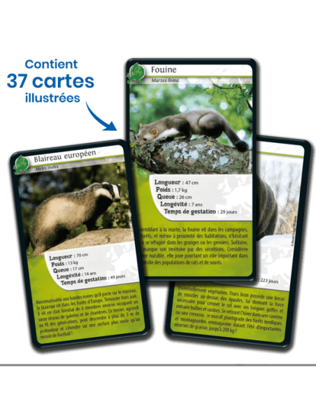 Défis Nature : Europe - Cartes à collectionner - contenu - matériel - visuel