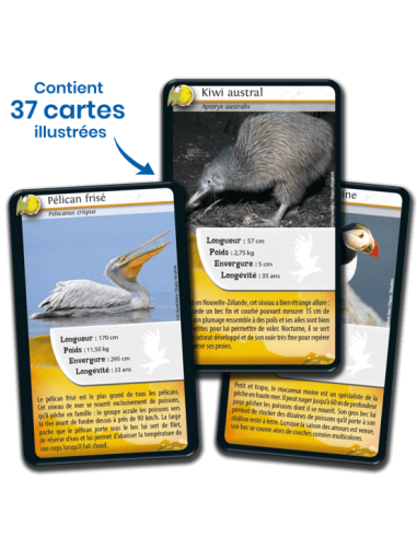 Défis Nature : Oiseaux 2023 - cartes à collectionner - contenu - matériel - visuel