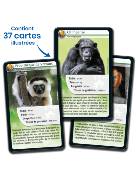 Défis Nature : Singes et autres primates - cartes à collectionner - contenu - matériel - visuel Défis Nature : Singes et autres primates - cartes à collectionner - contenu - matériel - visuel