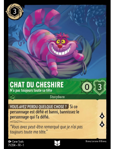 S1 - 071/204 - Chat du...