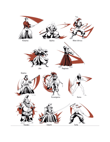 Ronin : Jeu de rôle en Solo - Jeux de rôle - contenu - visuel Ronin : Jeu de rôle en Solo - Jeux de rôle - contenu - visuel