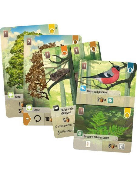 Forêt Mixte - Jeux de société - Jeux Familiaux - contenu - matériel - cartes