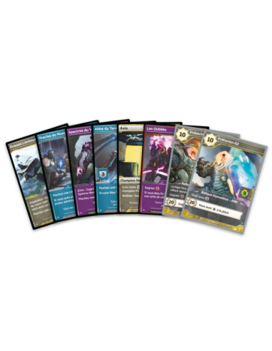 Shards  of Infinity : Les Reliques du...