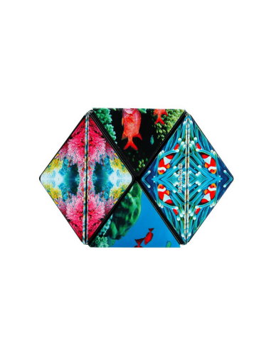 Shashibo Ocean - Logique et Puzzles - Casse-Tête - visuel