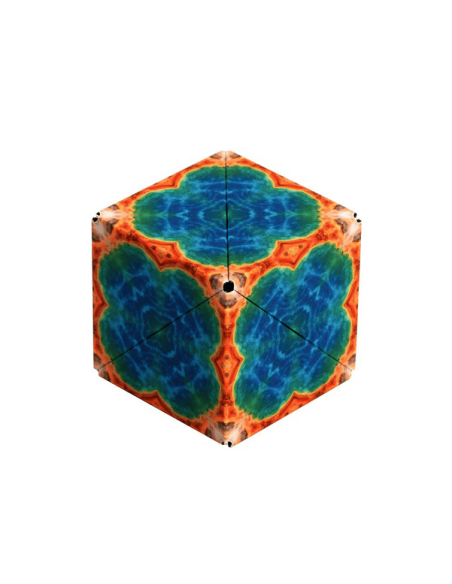 Shashibo Terre - Logique et Puzzles - Casse-Tête - cover - boîte