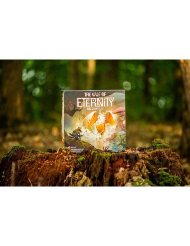 The Vale Of Eternity - Jeux de société - Jeux familial - Dragon - Boite - Graphisme - Illustration