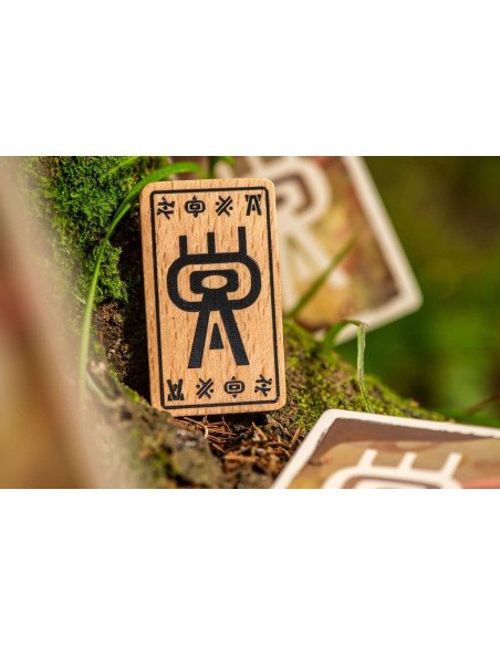 The Vale Of Eternity - Jeux de société - Jeux familial - Dragon - jetons premier joueur