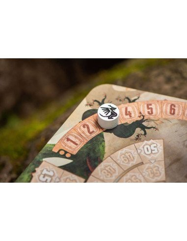 The Vale Of Eternity - Jeux de société - Jeux familial - Dragon - Boite - Cartes - Matériel - Plateau - jeton compte tour