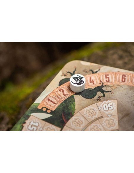 The Vale Of Eternity - Jeux de société - Jeux familial - Dragon - Boite - Cartes - Matériel - Plateau - jeton compte tour