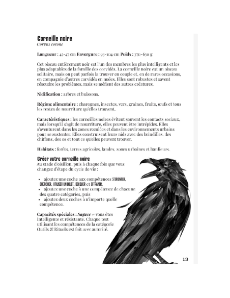 La voie du corbeau - Jeu de rôle - Cartes - Livre d'aventure - Couverture - Graphisme