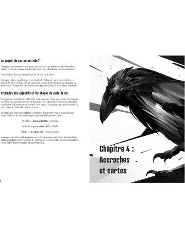 La voie du corbeau - Jeu de rôle - Cartes - Livre d'aventure - Couverture - Graphisme