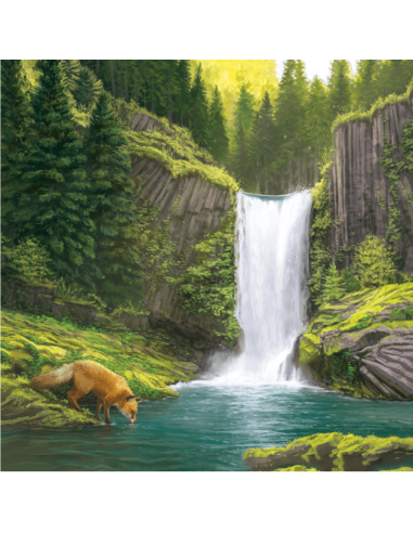 Cascadia - Jeux de société - Jeux familial - Extension Paysage - Boite - graphisme - Couverture