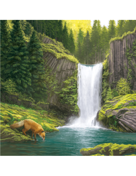 Cascadia - Jeux de société - Jeux familial - Extension Paysage - Boite - graphisme - Couverture
