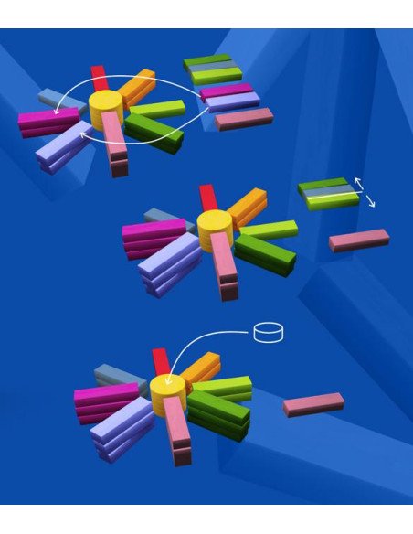 Elios - Jeu de société - Matériel - Règles - Jeu en bois - Descriptif - Explication