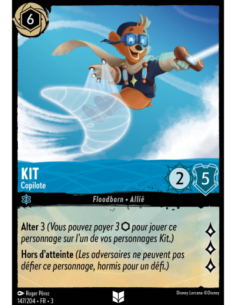 S3 - 147/204 - Kit : Copilote