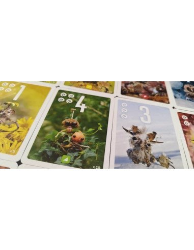 Pixies - Boite de jeu - Jeux de société - Sea Salt and Paper - Cartes - matériel