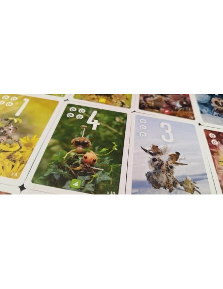 Pixies - Boite de jeu - Jeux de société - Sea Salt and Paper - Cartes - matériel