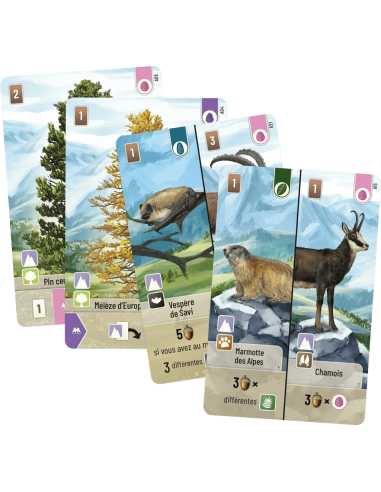 Forêt Mixte : Alpine - Jeux de société - Jeux Familiaux - contenu - matériel - visuel