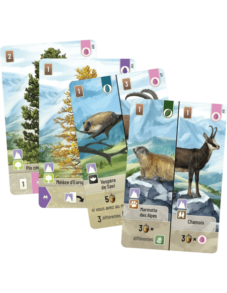 Forêt Mixte : Alpine - Jeux de société - Jeux Familiaux - contenu - matériel - visuel